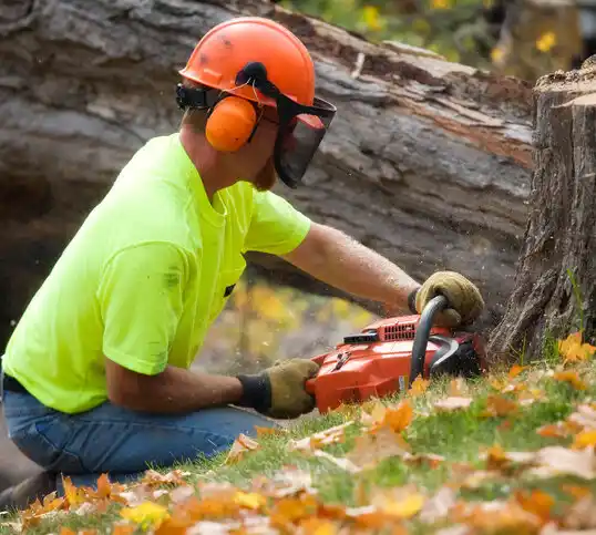 tree services New Sarpy